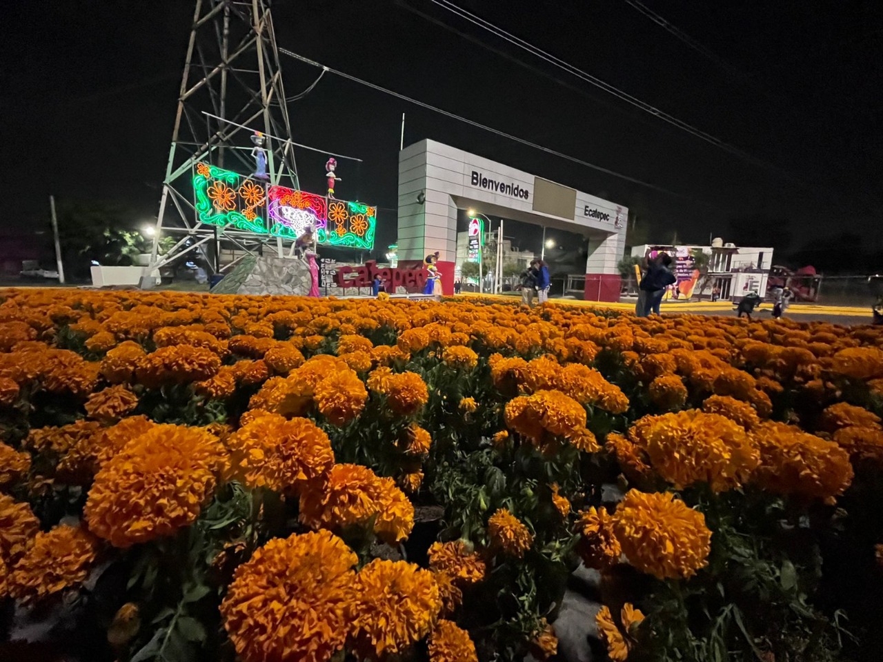 Ecatepec instala mega ofrenda de Día de Muertos con más de 26 mil plantas  de cempasúchil | Eje19
